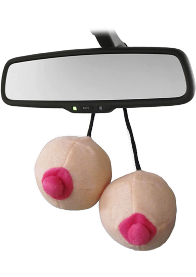 Road Titties Novelty Item