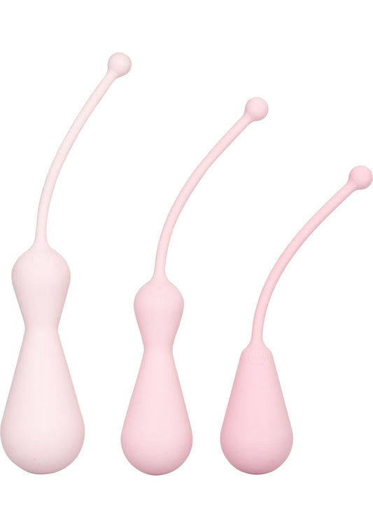 Inspire Weighted Silicone Kegel Training Kit